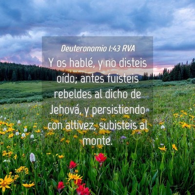 Picture 04 - Deuteronomio 1:43 RVA - Y os hablé, y no disteis oído; antes fuisteis - Bible Verse Picture