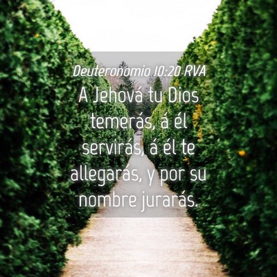Picture 04 - Deuteronomio 10:20 RVA - A Jehová tu Dios temerás, á él servirás, á - Bible Verse Picture