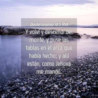 Picture 04 - Deuteronomio 10:5 RVA - Y volví y descendí del monte, y puse las tablas - Bible Verse Picture