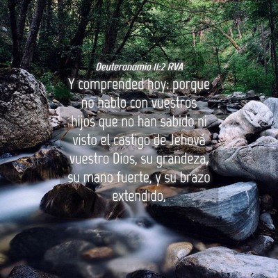 Picture 04 - Deuteronomio 11:2 RVA - Y comprended hoy: porque no hablo con vuestros - Bible Verse Picture