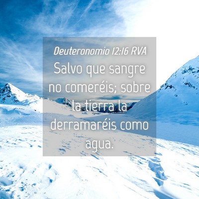 Picture 04 - Deuteronomio 12:16 RVA - Salvo que sangre no comeréis; sobre la tierra la - Bible Verse Picture