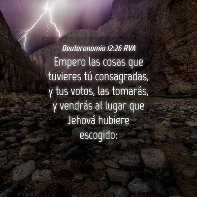 Picture 04 - Deuteronomio 12:26 RVA - Empero las cosas que tuvieres tú consagradas, y - Bible Verse Picture