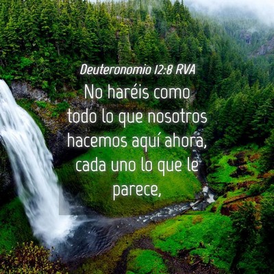 Picture 04 - Deuteronomio 12:8 RVA - No haréis como todo lo que nosotros hacemos - Bible Verse Picture