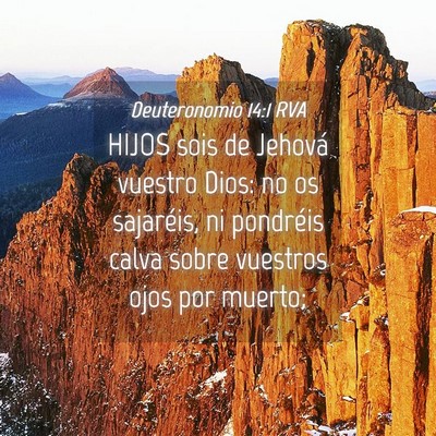 Picture 04 - Deuteronomio 14:1 RVA - HIJOS sois de Jehová vuestro Dios: no os - Bible Verse Picture