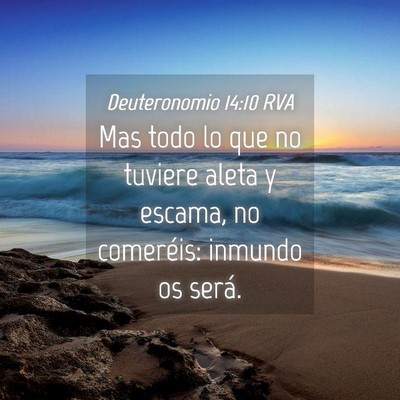 Picture 04 - Deuteronomio 14:10 RVA - Mas todo lo que no tuviere aleta y escama, no - Bible Verse Picture