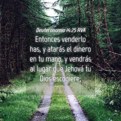 Picture 04 - Deuteronomio 14:25 RVA - Entonces venderlo has, y atarás el dinero en tu - Bible Verse Picture
