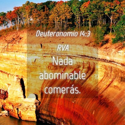 Picture 04 - Deuteronomio 14:3 RVA - Nada abominable - Bible Verse Picture
