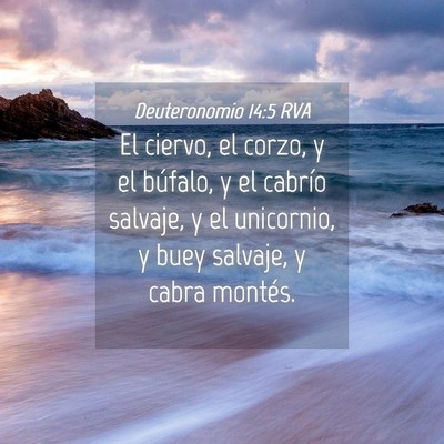 Picture 04 - Deuteronomio 14:5 RVA - El ciervo, el corzo, y el búfalo, y el cabrío - Bible Verse Picture