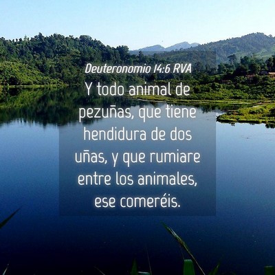 Picture 04 - Deuteronomio 14:6 RVA - Y todo animal de pezuñas, que tiene hendidura de - Bible Verse Picture
