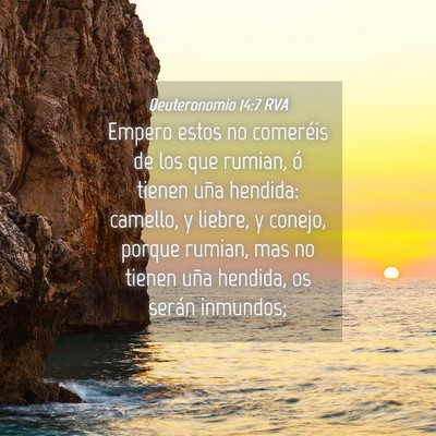 Picture 04 - Deuteronomio 14:7 RVA - Empero estos no comeréis de los que rumian, ó - Bible Verse Picture