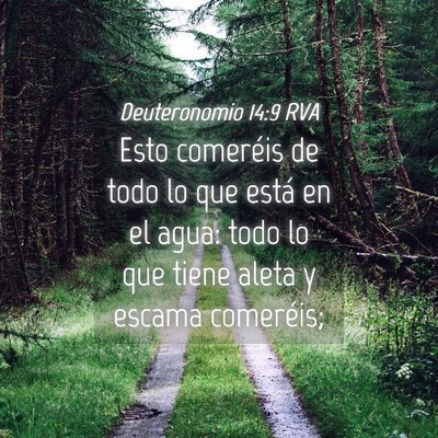 Picture 04 - Deuteronomio 14:9 RVA - Esto comeréis de todo lo que está en el agua: - Bible Verse Picture