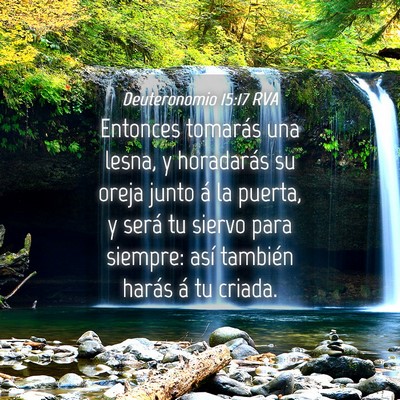 Picture 04 - Deuteronomio 15:17 RVA - Entonces tomarás una lesna, y horadarás su - Bible Verse Picture