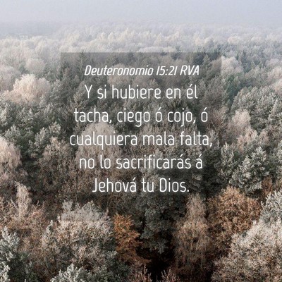Picture 04 - Deuteronomio 15:21 RVA - Y si hubiere en él tacha, ciego ó cojo, ó - Bible Verse Picture