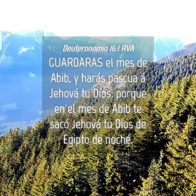 Picture 04 - Deuteronomio 16:1 RVA - GUARDARAS el mes de Abib, y harás pascua á - Bible Verse Picture