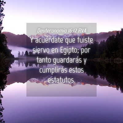 Picture 04 - Deuteronomio 16:12 RVA - Y acuérdate que fuiste siervo en Egipto; por - Bible Verse Picture