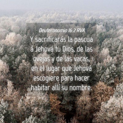 Picture 04 - Deuteronomio 16:2 RVA - Y sacrificarás la pascua á Jehová tu Dios, de - Bible Verse Picture