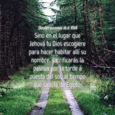 Picture 04 - Deuteronomio 16:6 RVA - Sino en el lugar que Jehová tu Dios escogiere - Bible Verse Picture