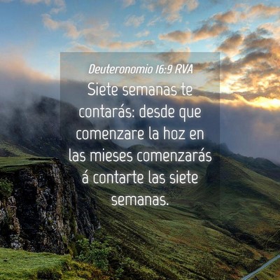 Picture 04 - Deuteronomio 16:9 RVA - Siete semanas te contarás: desde que comenzare - Bible Verse Picture