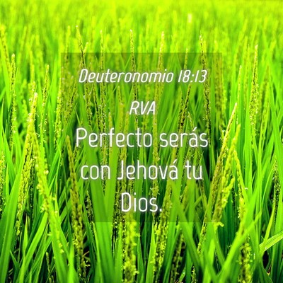 Picture 04 - Deuteronomio 18:13 RVA - Perfecto serás con Jehová tu - Bible Verse Picture