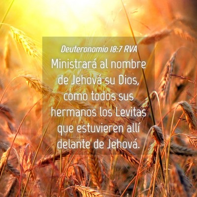 Picture 04 - Deuteronomio 18:7 RVA - Ministrará al nombre de Jehová su Dios, como - Bible Verse Picture