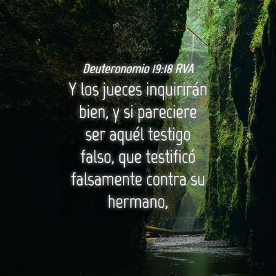 Picture 04 - Deuteronomio 19:18 RVA - Y los jueces inquirirán bien, y si pareciere ser - Bible Verse Picture