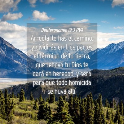 Picture 04 - Deuteronomio 19:3 RVA - Arreglarte has el camino, y dividirás en tres - Bible Verse Picture