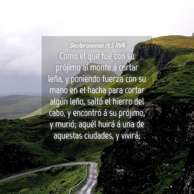 Picture 04 - Deuteronomio 19:5 RVA - Como el que fué con su prójimo al monte á - Bible Verse Picture