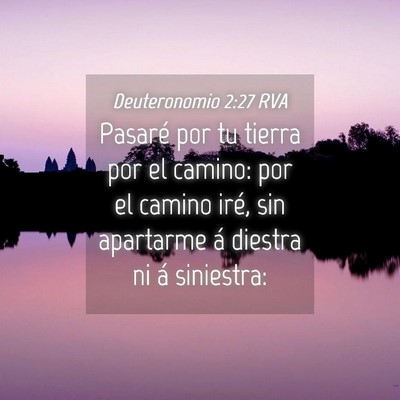 Picture 04 - Deuteronomio 2:27 RVA - Pasaré por tu tierra por el camino: por el - Bible Verse Picture