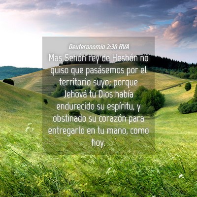 Picture 04 - Deuteronomio 2:30 RVA - Mas Sehón rey de Hesbón no quiso que pasásemos - Bible Verse Picture
