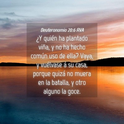 Picture 04 - Deuteronomio 20:6 RVA - ¿Y quién ha plantado viña, y no ha hecho - Bible Verse Picture