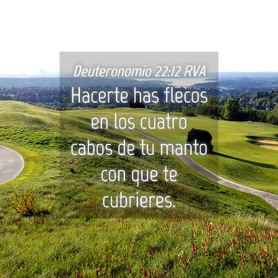 Picture 04 - Deuteronomio 22:12 RVA - Hacerte has flecos en los cuatro cabos de tu - Bible Verse Picture