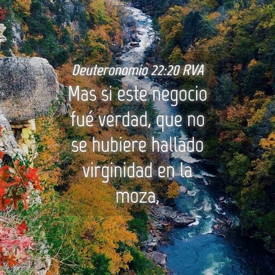 Picture 04 - Deuteronomio 22:20 RVA - Mas si este negocio fué verdad, que no se - Bible Verse Picture