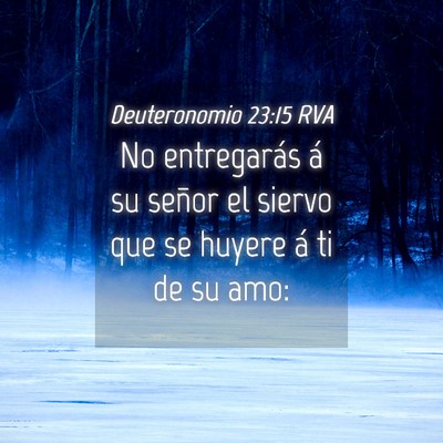 Picture 04 - Deuteronomio 23:15 RVA - No entregarás á su señor el siervo que se - Bible Verse Picture