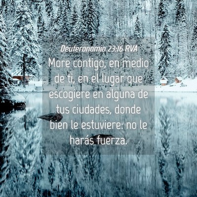 Picture 04 - Deuteronomio 23:16 RVA - More contigo, en medio de ti, en el lugar que - Bible Verse Picture