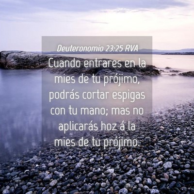 Picture 04 - Deuteronomio 23:25 RVA - Cuando entrares en la mies de tu prójimo, - Bible Verse Picture