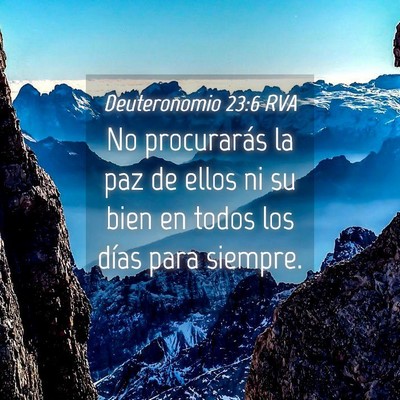 Picture 04 - Deuteronomio 23:6 RVA - No procurarás la paz de ellos ni su bien en - Bible Verse Picture