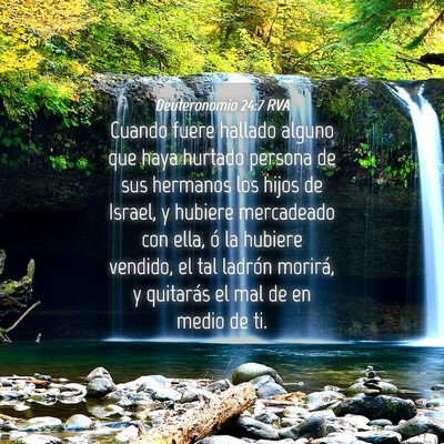 Picture 04 - Deuteronomio 24:7 RVA - Cuando fuere hallado alguno que haya hurtado - Bible Verse Picture