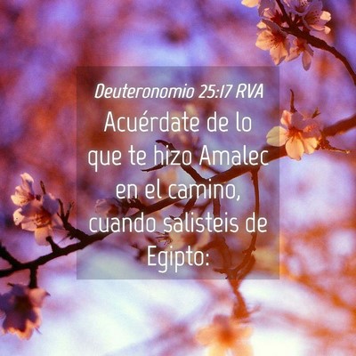 Picture 04 - Deuteronomio 25:17 RVA - Acuérdate de lo que te hizo Amalec en el camino, - Bible Verse Picture