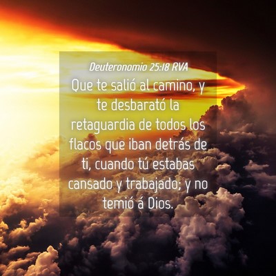 Picture 04 - Deuteronomio 25:18 RVA - Que te salió al camino, y te desbarató la - Bible Verse Picture