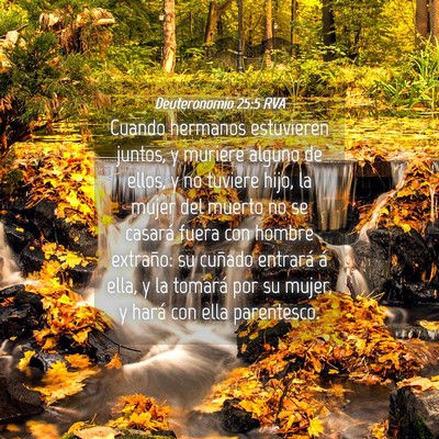 Picture 04 - Deuteronomio 25:5 RVA - Cuando hermanos estuvieren juntos, y muriere - Bible Verse Picture