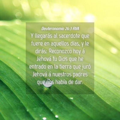 Picture 04 - Deuteronomio 26:3 RVA - Y llegarás al sacerdote que fuere en aquellos - Bible Verse Picture