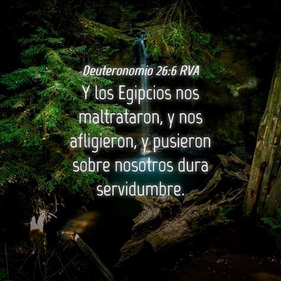 Picture 04 - Deuteronomio 26:6 RVA - Y los Egipcios nos maltrataron, y nos afligieron, - Bible Verse Picture