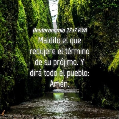 Picture 04 - Deuteronomio 27:17 RVA - Maldito el que redujere el término de su - Bible Verse Picture