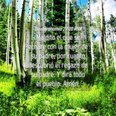 Picture 04 - Deuteronomio 27:20 RVA - Maldito el que se echare con la mujer de su - Bible Verse Picture