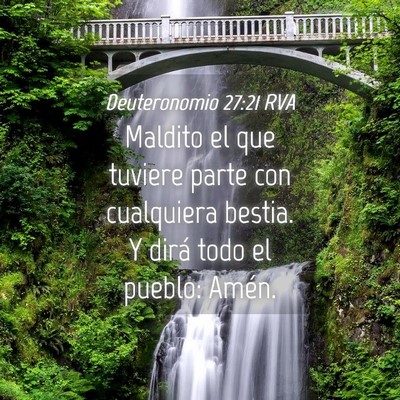 Picture 04 - Deuteronomio 27:21 RVA - Maldito el que tuviere parte con cualquiera - Bible Verse Picture