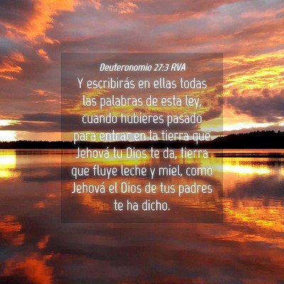 Picture 04 - Deuteronomio 27:3 RVA - Y escribirás en ellas todas las palabras de esta - Bible Verse Picture