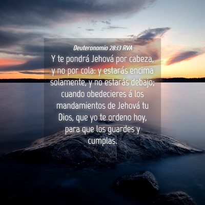 Picture 04 - Deuteronomio 28:13 RVA - Y te pondrá Jehová por cabeza, y no por cola: y - Bible Verse Picture