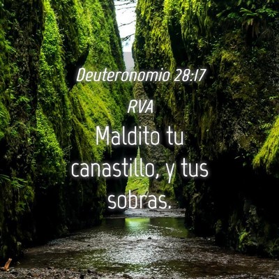 Picture 04 - Deuteronomio 28:17 RVA - Maldito tu canastillo, y tus - Bible Verse Picture