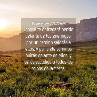Picture 04 - Deuteronomio 28:25 RVA - Jehová te entregará herido delante de tus - Bible Verse Picture