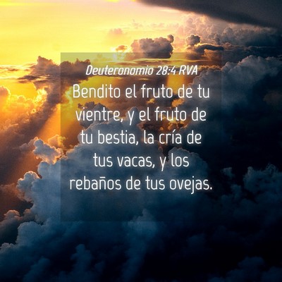Picture 04 - Deuteronomio 28:4 RVA - Bendito el fruto de tu vientre, y el fruto de tu - Bible Verse Picture